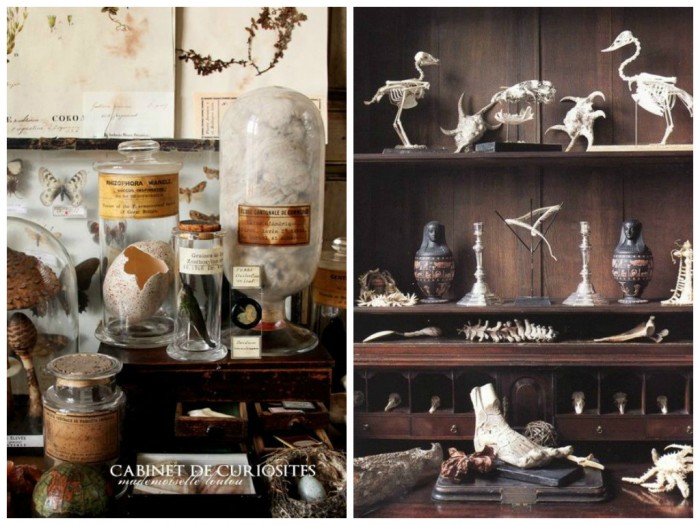 Inspiration Cabinet de Curiosités - Jessica Venancio